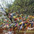 Drapeaux de prière bouddhistes
