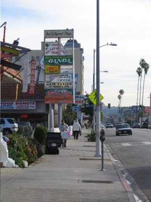 Hollywood boulevard