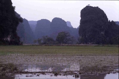 Rizières inondées par débordement de la rivière, village de Vân Lâm, 3 kms de Hoa Lu, 100 kms au sud de Hanoï, Vietnam du nord, février 2001 