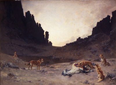 Chiens arabes dévorant un cheval mort, Algérie