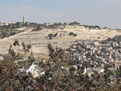 Le Mont des Oliviers, vu depuis l'ancienne ville de Jérusalem