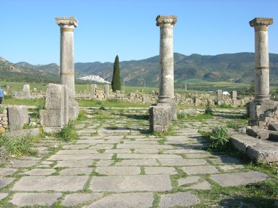Volubilis, une cité romanisée