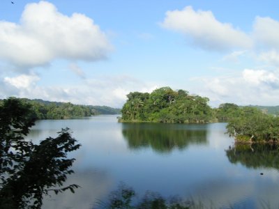 Forêt tropicale, lac de Gatun 
