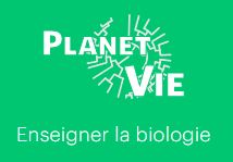 Planet Vie